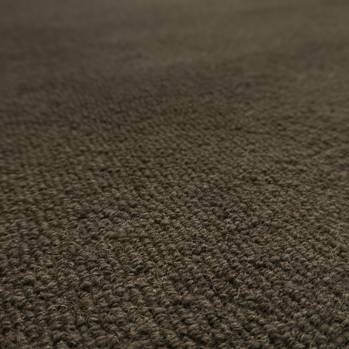 Celeste Rug - Iridium / Wheatfield [INDIAN BLEND WOOL]